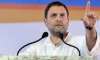 Congress President Rahul Gandhi 