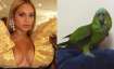 Viral Video: Parrot singing Beyonce's 'If I Were A Boy' baffles Internet