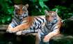 Visit these exotic locations in Bali based on your zodiac