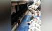Woman jumps in front of Delhi metro on the Blue line,