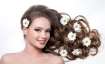 Tips for a rejuvenating hair-wash using Bringadi for healthy, revitalised hair