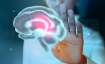 Know how controlling your BP can help brain health