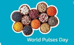 World Pulses Day: Know the benefits of adding protein-rich dals to your diet 