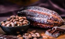 World Chocolate Day 2021: Wishes, SMS, quotes, HD Images, WhatsApp and Facebook statuses for your lo