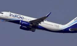 indigo airlines domestic flights