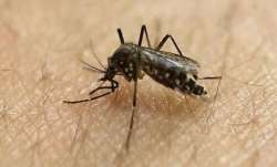 Zika case, zika virus, Uttar Pradesh, Kanpur, Pardevanpurwa, Pokharpur, zika virus patient, zika vir