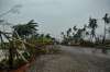  A view of the destruction caused by Cyclone Fani after